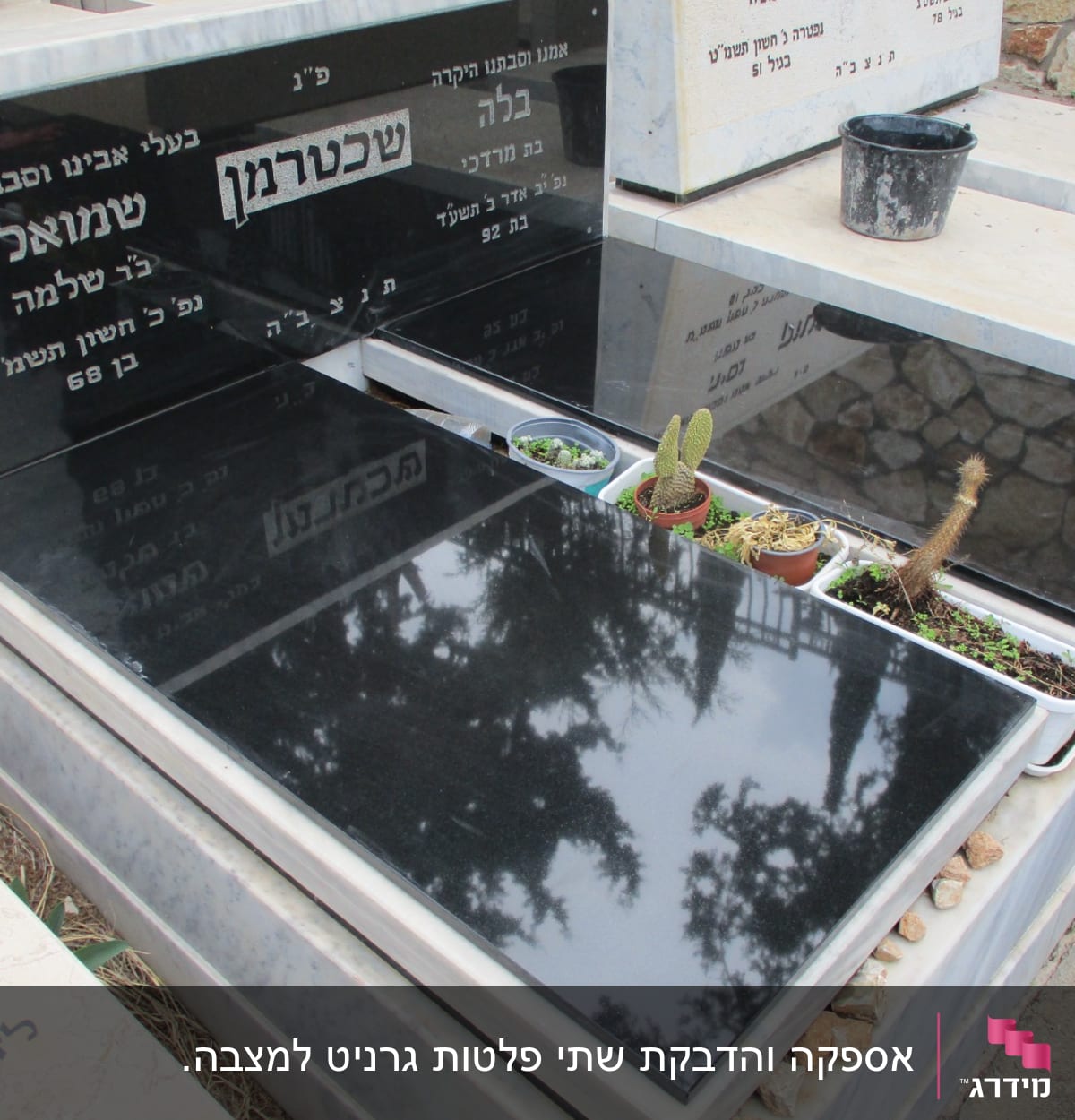 מצבות עם כיתוב בעברית וצמחים קטנים